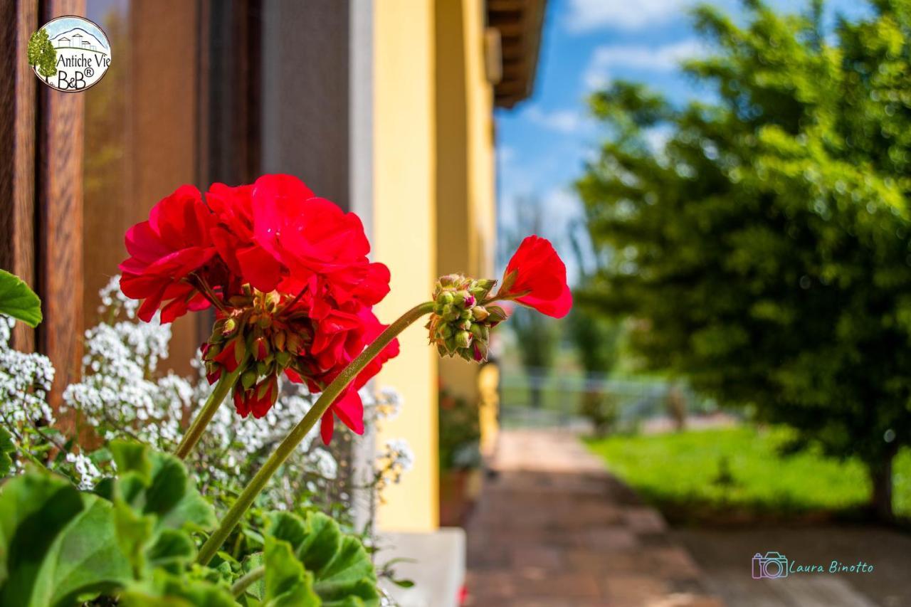 Antiche Vie B&B Serramazzoni Zewnętrze zdjęcie