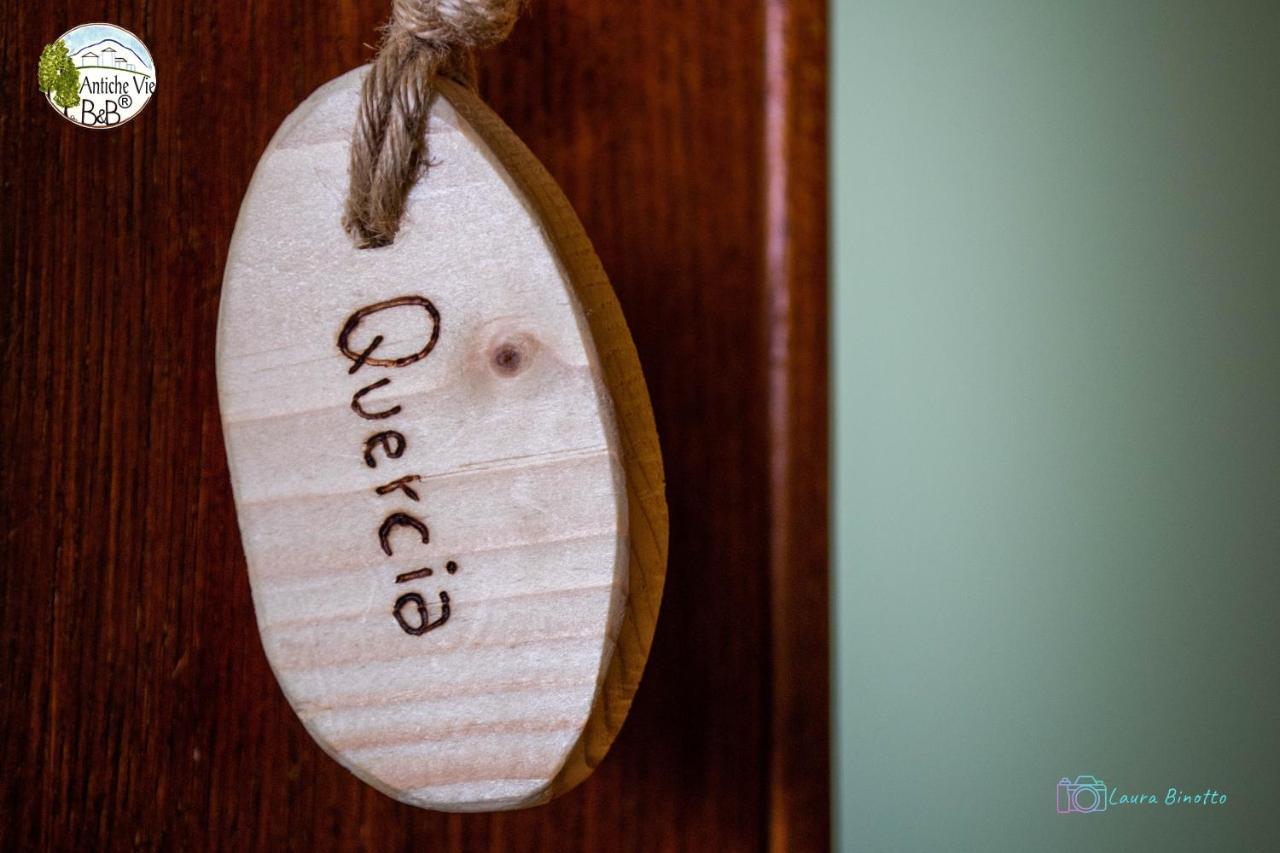Antiche Vie B&B Serramazzoni Zewnętrze zdjęcie