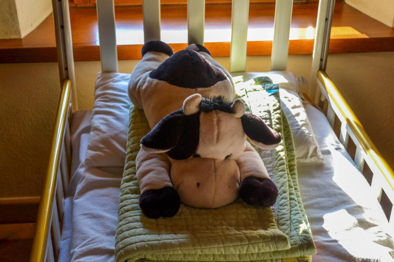 Antiche Vie B&B Serramazzoni Zewnętrze zdjęcie